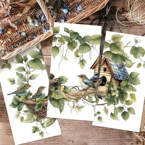 OLYCRAFT 3-Pack Bird Branches Rub-On Transfers - 6x12 Inch Bird Nest Decals for Wood Furniture & Home Decor in Saudi Arabia