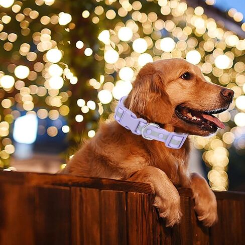 KOLODOGO Waterproof Dog Collar - Reflective Adjustable Collar Durable Collars for Small Medium Large Dogs Easy Clean PVC Material - Multiple Colors Sizes (S, M, L) in Saudi Arabia
