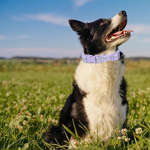 KOLODOGO Waterproof Dog Collar - Reflective Adjustable Collar Durable Collars for Small Medium Large Dogs Easy Clean PVC Material - Multiple Colors Sizes (S, M, L) in Saudi Arabia