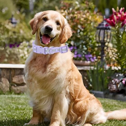 KOLODOGO Waterproof Dog Collar - Reflective Adjustable Collar Durable Collars for Small Medium Large Dogs Easy Clean PVC Material - Multiple Colors Sizes (S, M, L) in Saudi Arabia