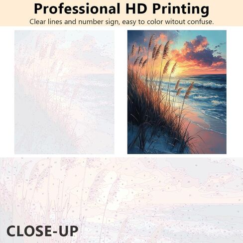 Rebotipy Seaside Paint by Numbers for Adults Sunset Beach Landscape with Tall Grasses and Warm Light, Paint by Numbers Kit on Canvas for Beginners,Watercolor Oil Painting Set 16x20 Inch in Saudi Arabia
