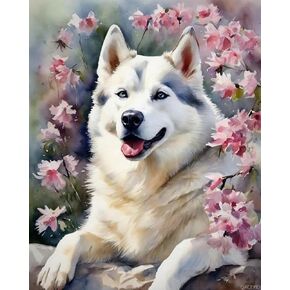 QACEYID DIY Paint by Number for Adults, Siberian Husky Dog and Flower Paint by Number Set with Brushes, 40x50cm