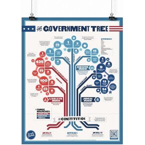 The Government Tree | 16" x 20" Classroom Poster | Social Studies | U.S. History | Civics | Government