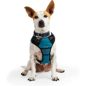 EveryYay Front Walking Reflective Dog Harness Black XX-Large/3X-Large