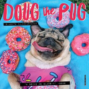 Willow Creek Press, Doug the Pug 2025 Mini Wall Calendar