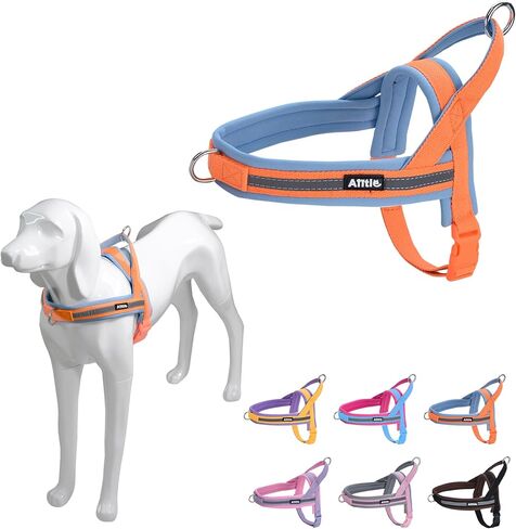 AIITLE Pet No Pull Dog Harness with Soft Comfortable Padded, Adjustable Reflective Escape Proof Tactical Dog Vest Harness, Quick Fit Dog Vest Harness for Medium Dogs Orange-Blue M in Saudi Arabia