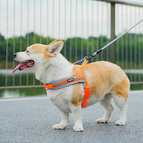 AIITLE Pet No Pull Dog Harness with Soft Comfortable Padded, Adjustable Reflective Escape Proof Tactical Dog Vest Harness, Quick Fit Dog Vest Harness for Medium Dogs Orange-Blue M in Saudi Arabia