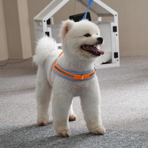 AIITLE Pet No Pull Dog Harness with Soft Comfortable Padded, Adjustable Reflective Escape Proof Tactical Dog Vest Harness, Quick Fit Dog Vest Harness for Medium Dogs Orange-Blue M in Saudi Arabia