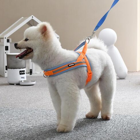 AIITLE Pet No Pull Dog Harness with Soft Comfortable Padded, Adjustable Reflective Escape Proof Tactical Dog Vest Harness, Quick Fit Dog Vest Harness for Medium Dogs Orange-Blue M in Saudi Arabia