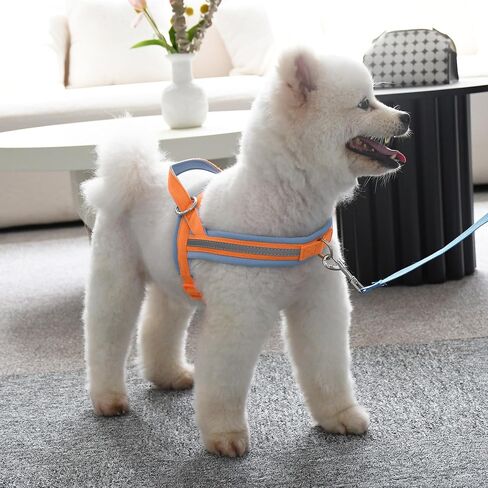 AIITLE Pet No Pull Dog Harness with Soft Comfortable Padded, Adjustable Reflective Escape Proof Tactical Dog Vest Harness, Quick Fit Dog Vest Harness for Medium Dogs Orange-Blue M in Saudi Arabia