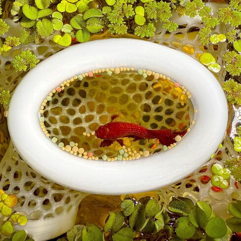 Aquarium Floating Betta Fish Log, Hide Tunnel and Hammock Toy, Small Fish Or Shrimp Hide Resting Cave, Floating Feeder, Feeding Ring, Tank Accessories Decoration. (Black) in Saudi Arabia