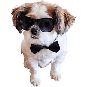 C08 Dog Pet Costume Set Retro Sunglasses + Bow Tie Adjustable for Small-Medium Dogs 12-30 lbs Party Prop Cosplay Photoshoot (Aviator Black + Black Bow Tie)