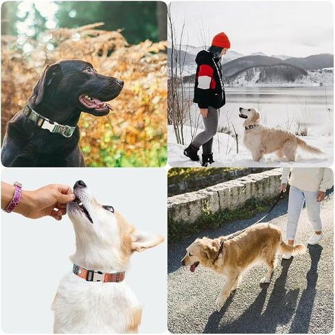 Personalized Dog Collar with Engraved ID Metal Buckle,Customized Floral Collar for Small,Medium,Large Dogs. in Saudi Arabia