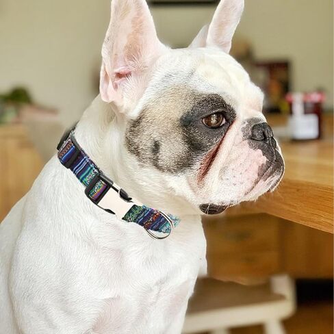 Personalized Dog Collar with Engraved ID Metal Buckle,Customized Floral Collar for Small,Medium,Large Dogs. in Saudi Arabia