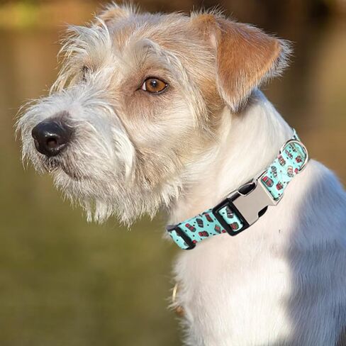 Personalized Dog Collar with Engraved ID Metal Buckle,Customized Floral Collar for Small,Medium,Large Dogs. in Saudi Arabia