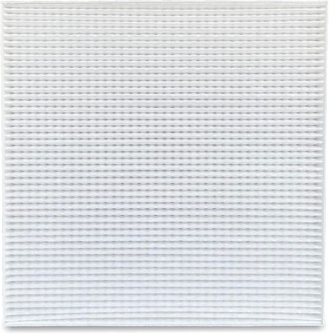 Cabin Air Filter for Freightliner M2 106(2004-2023), M2 112(2004-2021), M2 100(2002-2006),108SD(2012-2020),114SD(2012-2023),122SD (2018-2023),Select Models, ABP N10g 36000006(4pcs) in Saudi Arabia