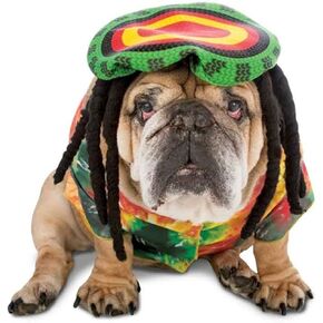 Rasta Imposta Rasta Dog Costume, 3X-Large