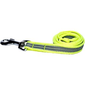 ThePetSarama Reflective Dog Leash (S-L) (Fluorescent, Small)