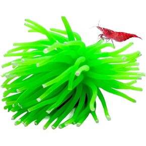 CTWPets Fluorescent Aquarium Decor – Glowing Fish Tank Ornament for Freshwater & Saltwater | Safe for Betta, Shrimp, & Tropical Fish | Includes Collector Card (Green, Small)
