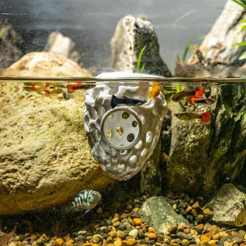 3D Printed Floating Betta Hideout Feeding Rings for Small Fish Resting Spot for Corydoras Shrimp Cave Aquarium Floating Decorative in Kuwait