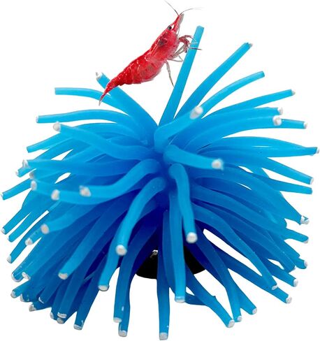 CTWPETS ديكور الفلورسنت حوض السمك - زخرفة أسماك الأسماك المتوهجة للمياه العذبة والمياه المالحة | آمن لبيتا ، الروبيان ، والأسماك الاستوائية | يتضمن بطاقة جامع (خضراء ، صغيرة) in Kuwait