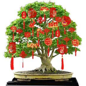 39 قطعة من زينة السنة الصينية الجديدة المعلقة 2023 مهرجان الربيع الصيني عقدة معلقة مهرجان الربيع حلية لاكي فو المعلقات الحمراء المعلقة الحلي المحظوظة شرابات عقدة ديكور لمهرجان الربيع in Kuwait