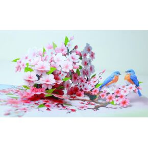 Cherry Blossom Flower Greeting Cards Pop Up 3D Gift for Happy Birthday, Anniversary, Thank you, Robin Bird All Occasions Mom Wife Grandma Grand Parent Couples Men Women