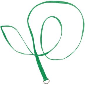 4' Kennel Leads - 12 Pack - Green Slip Leads for Dogs