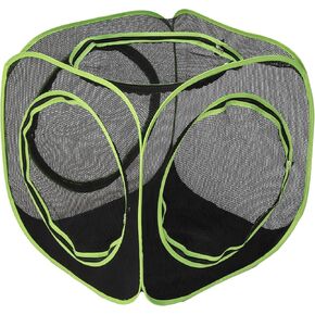 نفق Kitty City كبير 20 قدمًا فقط in Kuwait