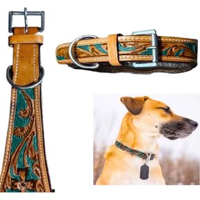 Majestic Ally Leather Dog Collar with Adjustable, Padded Fit for Walking, Hiking, and Running, Designer Western Wear for Puppies, Fancy Colors (Turquoise - Natural, Medium)