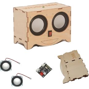 Craft Kit - DIY Bluetooth Speaker Kit, Build Personalized Wood Case Speaker Set, Learning STEM Gifts for Teens