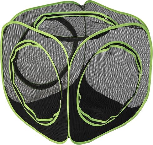 نفق Kitty City كبير 20 قدمًا فقط in Kuwait