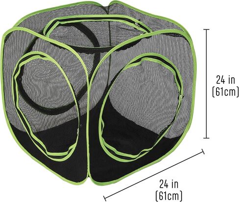 نفق Kitty City كبير 20 قدمًا فقط in Kuwait