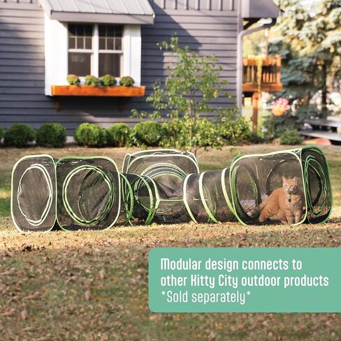 نفق Kitty City كبير 20 قدمًا فقط in Kuwait