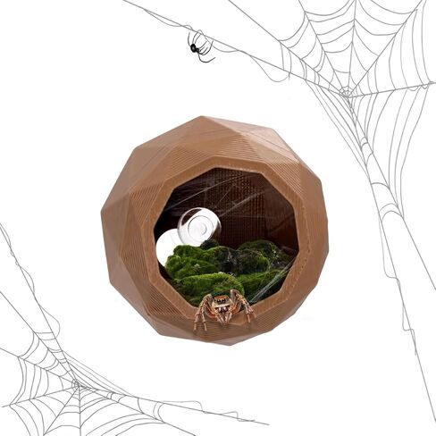 بيت مخفي عنكبوت قافز للحيوانات الأليفة، حاوية عنكبوت قافز، مخابئ للزواحف، أرجوحة عنكبوتية مع كوب شفط، حاوية عنكبوت حيوان أليف وضفدع لإخفاء ألعاب تسلق الكهف in Kuwait