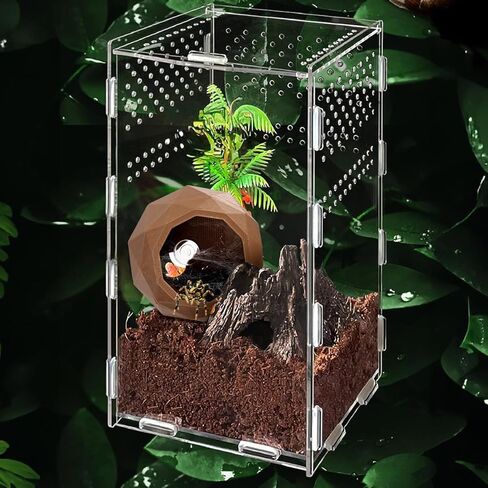 بيت مخفي عنكبوت قافز للحيوانات الأليفة، حاوية عنكبوت قافز، مخابئ للزواحف، أرجوحة عنكبوتية مع كوب شفط، حاوية عنكبوت حيوان أليف وضفدع لإخفاء ألعاب تسلق الكهف in Kuwait