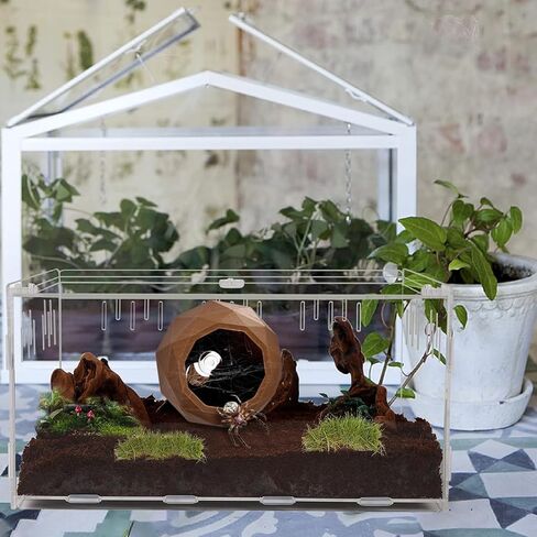 بيت مخفي عنكبوت قافز للحيوانات الأليفة، حاوية عنكبوت قافز، مخابئ للزواحف، أرجوحة عنكبوتية مع كوب شفط، حاوية عنكبوت حيوان أليف وضفدع لإخفاء ألعاب تسلق الكهف in Kuwait