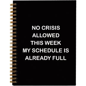 Funny Office Gifts Notebook Journal, Gag Fun Gifts for Coworker Colleague Boss Employee Adults Friends Women Men, Sarcastic Snarky Gift, Weird Gifts Spiral Notebook 5.5 x 8.3 in Kuwait