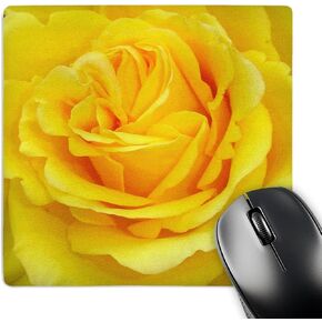 3dRose LLC 8 x 8 x 0.25 Inches Mouse Pad, Rose Yellow (mp_21383_1)