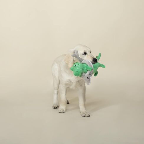 Fringe Studio Plush Dog Toy, Mer-Rex, Pet Shop Collection (314291) in Saudi Arabia