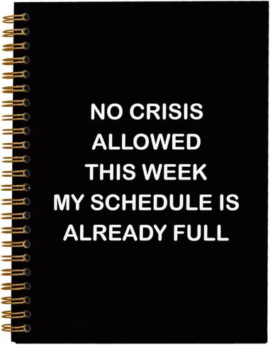 Funny Office Gifts Notebook Journal, Gag Fun Gifts for Coworker Colleague Boss Employee Adults Friends Women Men, Sarcastic Snarky Gift, Weird Gifts Spiral Notebook 5.5 x 8.3 in Kuwait