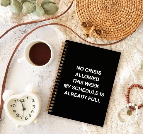 Funny Office Gifts Notebook Journal, Gag Fun Gifts for Coworker Colleague Boss Employee Adults Friends Women Men, Sarcastic Snarky Gift, Weird Gifts Spiral Notebook 5.5 x 8.3 in Kuwait