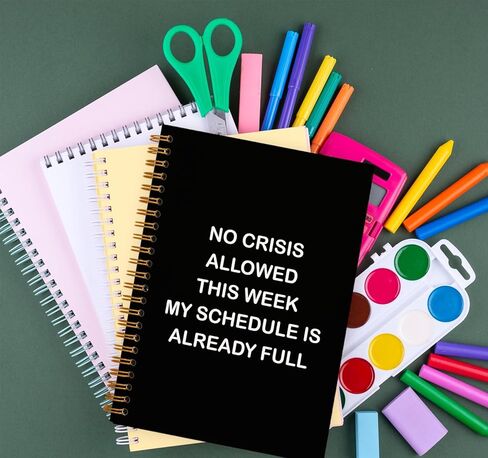 Funny Office Gifts Notebook Journal, Gag Fun Gifts for Coworker Colleague Boss Employee Adults Friends Women Men, Sarcastic Snarky Gift, Weird Gifts Spiral Notebook 5.5 x 8.3 in Kuwait