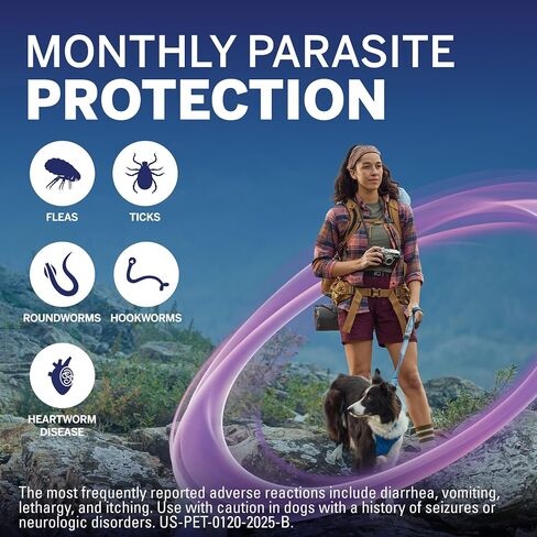 NexGard Plus (afoxolaner, moxidectin, and pyrantel) Flea and Tick Protection & Heartworm Preventive for Dogs Soft Beef Flavored Chewables, 33.1-66 lbs. (Purple) 6 Chews (6 Month Supply) in Saudi Arabia