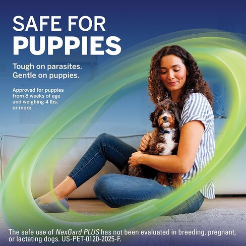 NexGard Plus (afoxolaner, moxidectin, and pyrantel) Flea and Tick Protection & Heartworm Preventive for Dogs Soft Beef Flavored Chewables, 33.1-66 lbs. (Purple) 6 Chews (6 Month Supply) in Saudi Arabia