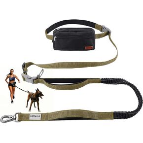 Hands Free Dog Leash with Zipper Pouch, Double Handle Running Reflective Bungee Waist Leash for Dog Walking, Training and Hiking for Small Medium Large Dogs (Black)