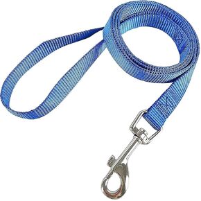 Pet Nylon Dog Training Leash, Strong, Durable, Traditional Style Dog Leash with Easy to Use Bolt Snap, for Small Medium and Large Dogs