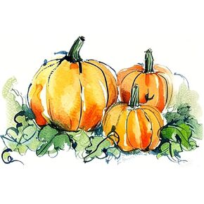 Muyankissu Pumpkin Diamond Art Kits للبالغين ، مجموعة فن الماس الخريف للمبتدئين تدريبات مستديرة كاملة ، وطلاء مع الماس للهدية ، وديكور عيد الميلاد على الحائط 12x16inch ...
