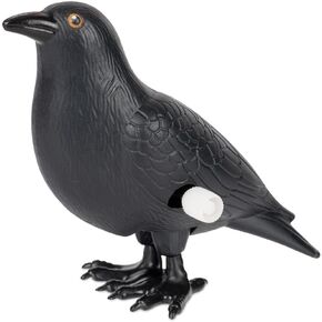 Accoutrements Hilarious and Entertaining Wind-Up Crazy Crow: 3-1/8" (7.9 cm) of Playful Skittering Funny Gifts Novelty Crow - Let The Antics Begin from Archie McPhee