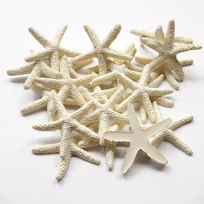 Resin Starfish - Vase Filler - Garland, Photo Frame, Beach Scene, Gift Box Decoration, Christmas Decoration, Beach Wedding and Mermaid Birthday Party (25 pcs White)